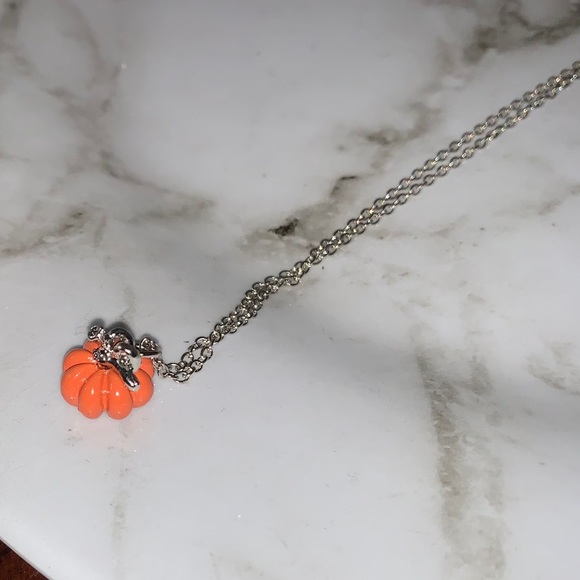 πβ―π β
SILVER PUMPKIN NECKLACE - Picture 6 of 8